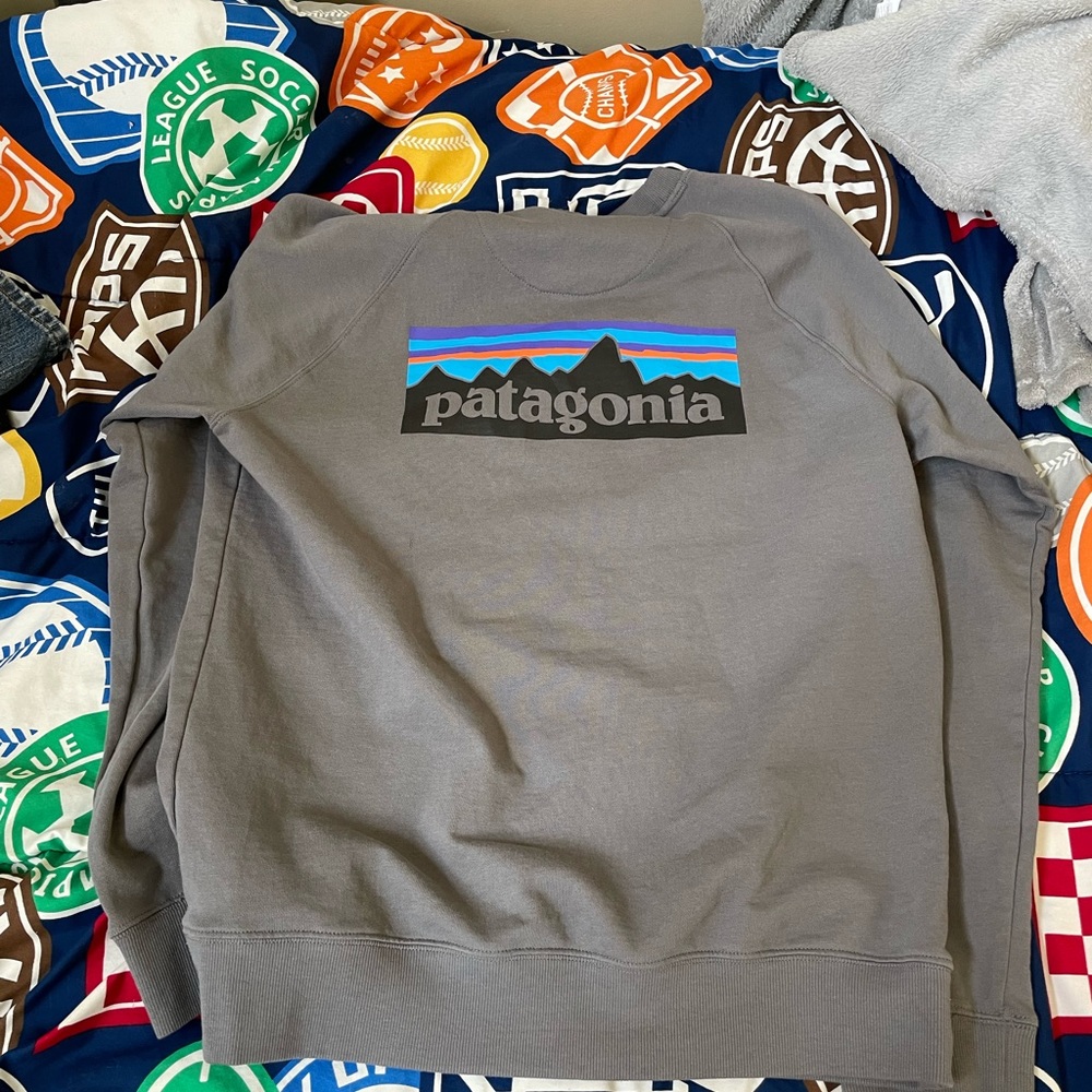 Patagonia crew neck